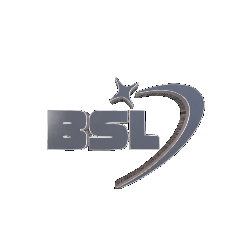 bsl.mx